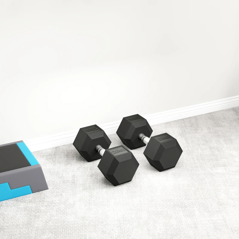 HOMCOM Haltères avec poignée texturée, haltère en fonte, 2 x 20kg pour la maison, salle de sport, entraînement musculaire