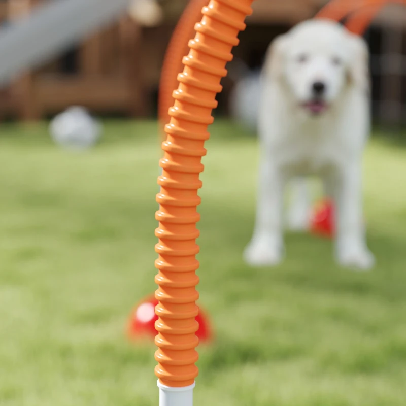 PawHut Juego de agilidad para perros de 4 piezas con 4 puertas de ancho ajustable, bolsa de transporte, para jardín, Azul