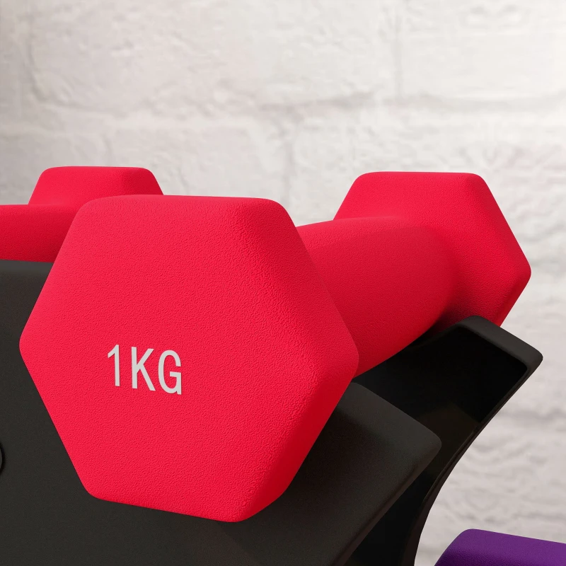 SPORTNOW Juego de pesas hexagonales con soporte de pesas, para musculación, 2x1 kg, 2x2 kg, 2x3 kg