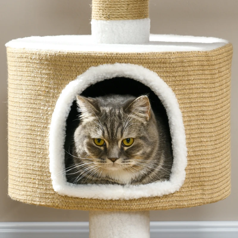 PawHut Árbol Rascador Árbol para Gatos con Casita, 1 Casita, 1 Área de descanso, 70x49x79 cm, Natural + Blanco