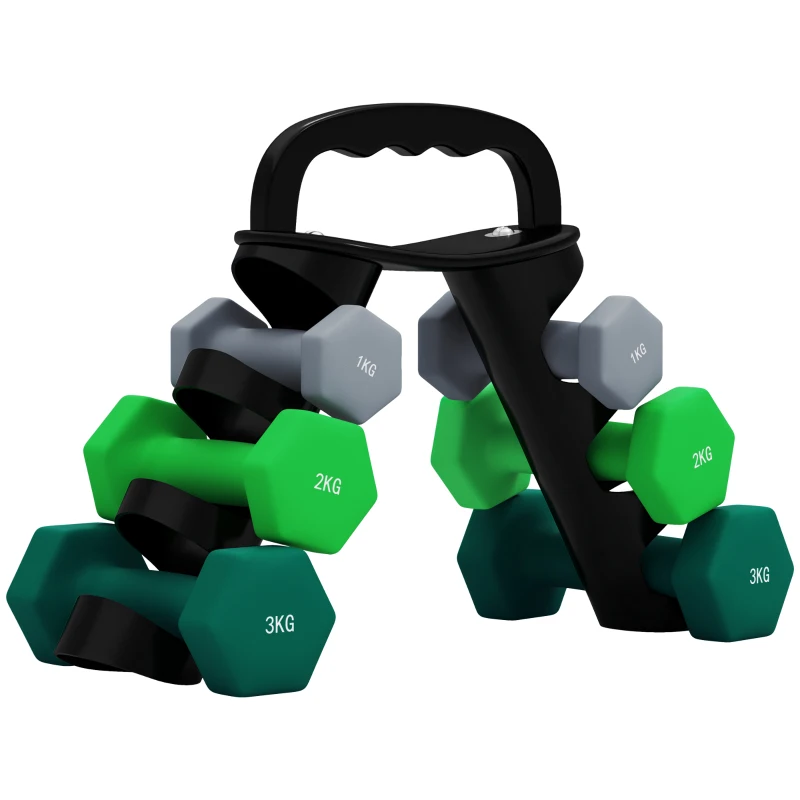 SPORTNOW Juego de Mancuernas 2 x1kg 2 x2kg 2 x3kg con Soporte de Almacenamiento para Ejercicio Entrenamiento Multicolor