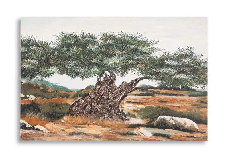 Mauro Ferretti Pictura Pe Panza, Maslin, -B- Cm 120X3,8X78