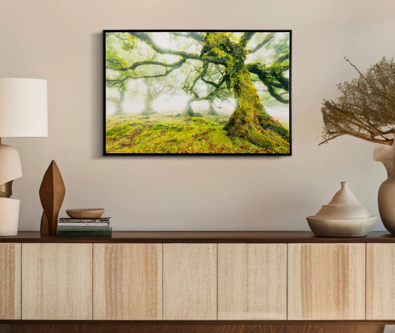 Mauro Ferretti Pictura Pe Panza, Lacuita, Cu Rama, Padure Cm 90X4X58