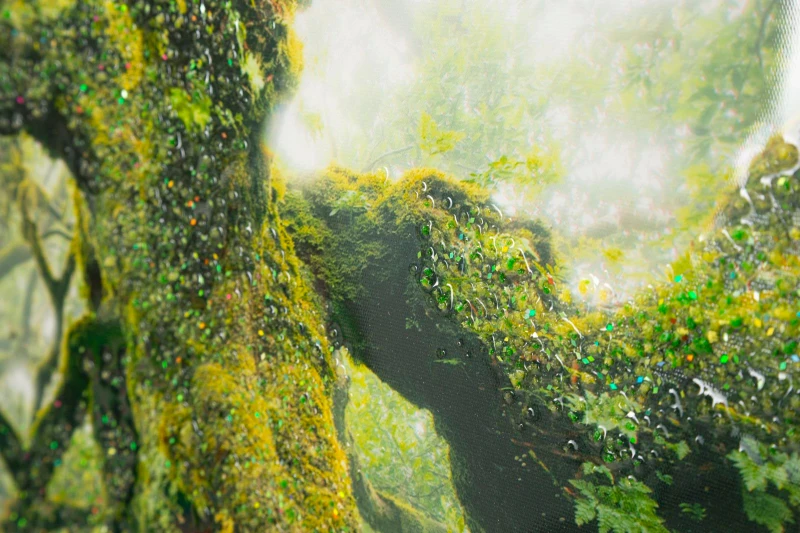 Mauro Ferretti Pictura Pe Panza, Lacuita, Cu Rama, Padure Cm 90X4X58