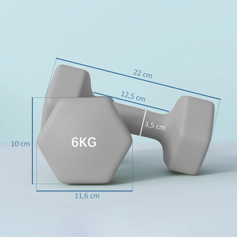 SPORTNOW Juego de 2 Mancuernas Hexagonales de 2 x 6 kg de Metal Recubiertas en Plástico para Entrenamiento en Casa Gimnasio Gris