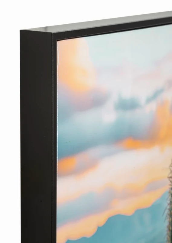 Mauro Ferretti Pictura Pe Panza, Cu Rama, Cactus -A- Cm 60X4X88