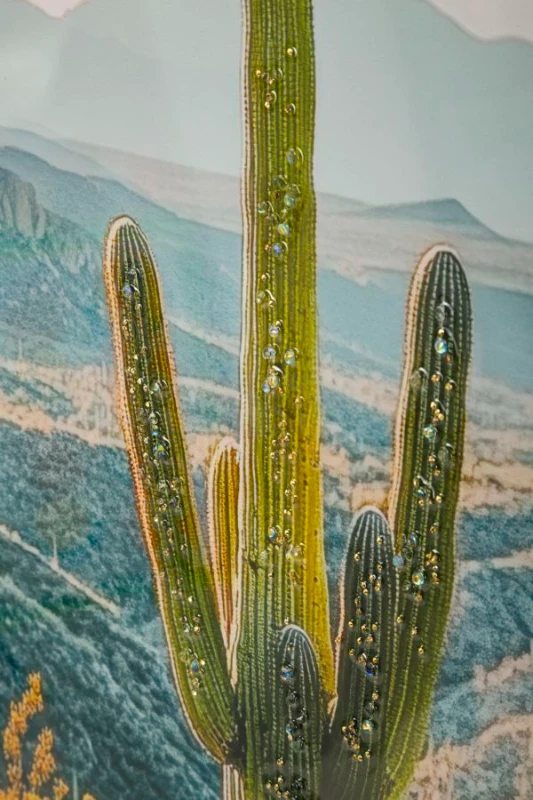 Mauro Ferretti Pictura Pe Panza Lacuita, Cu Rama, Cactus -B- Cm 60X4X88