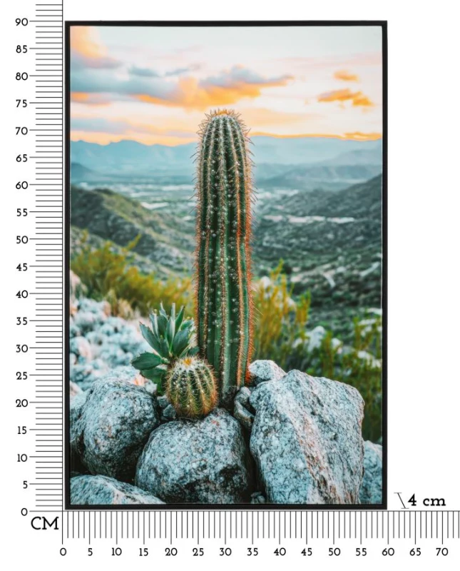 Mauro Ferretti Pictura Pe Panza, Cu Rama, Cactus -A- Cm 60X4X88