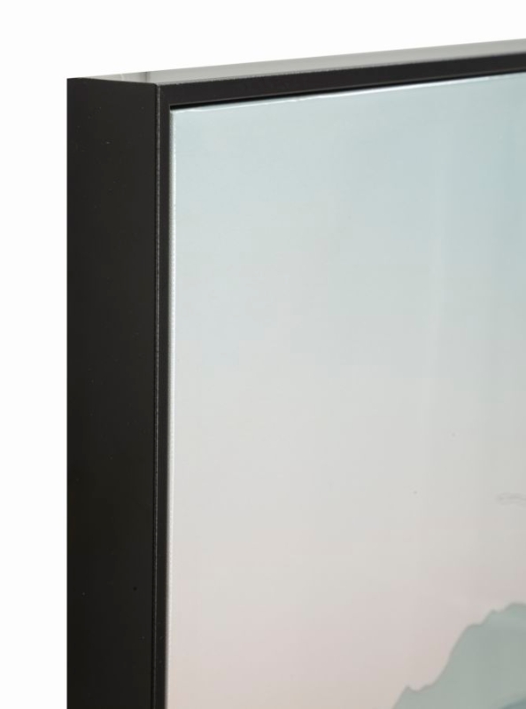 Mauro Ferretti Pictura Pe Panza Lacuita, Cu Rama, Cactus -B- Cm 60X4X88