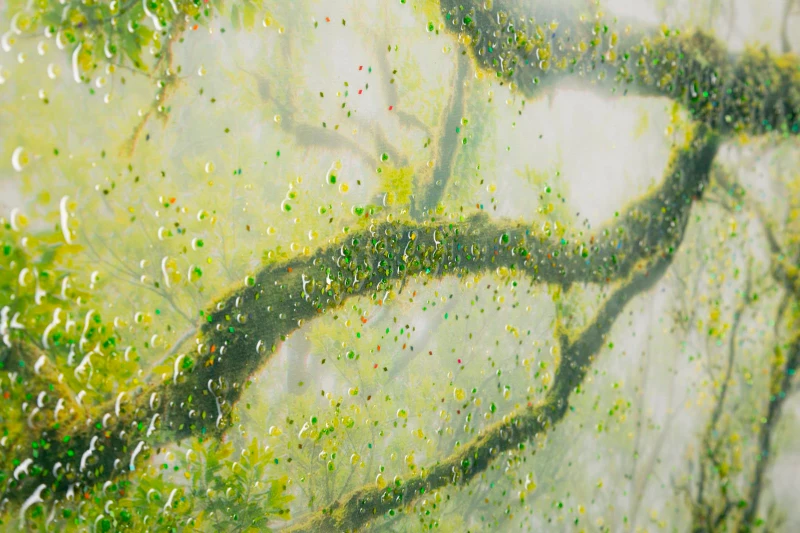 Mauro Ferretti Pictura Pe Panza, Lacuita, Cu Rama, Padure Cm 90X4X58