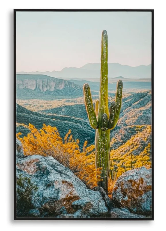Mauro Ferretti Pictura Pe Panza Lacuita, Cu Rama, Cactus -B- Cm 60X4X88