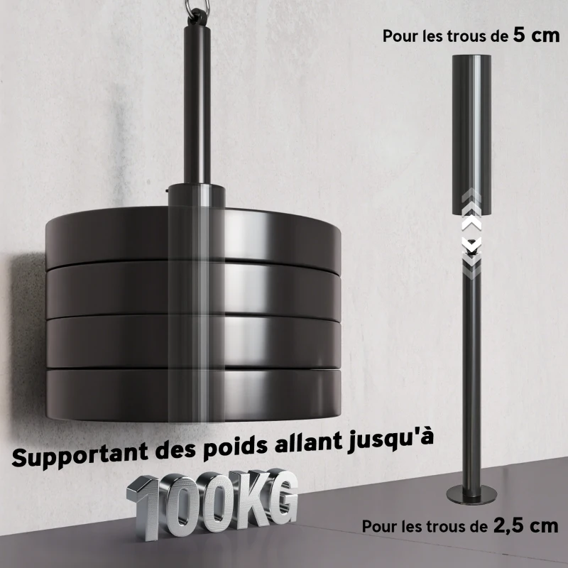 SPORTNOW Poulie musculation maison, cable machine musculation exercices de flexion des biceps, des triceps et des bras