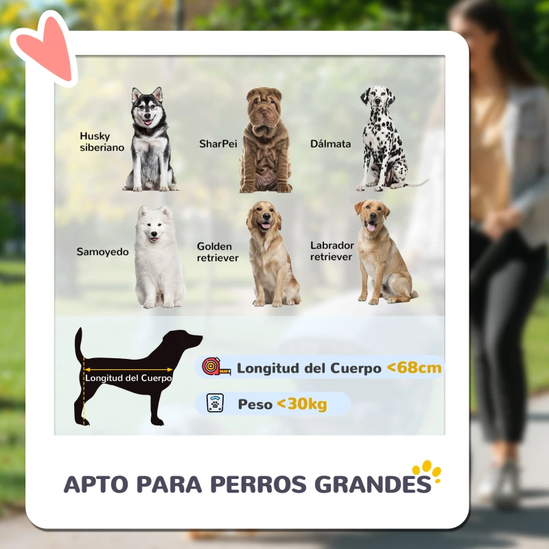 PawHut Carrito para Perros Plegable con Ventanas de Malla Cojín Lavable Correas de Seguridad 124x67x100 cm Gris Oscuro