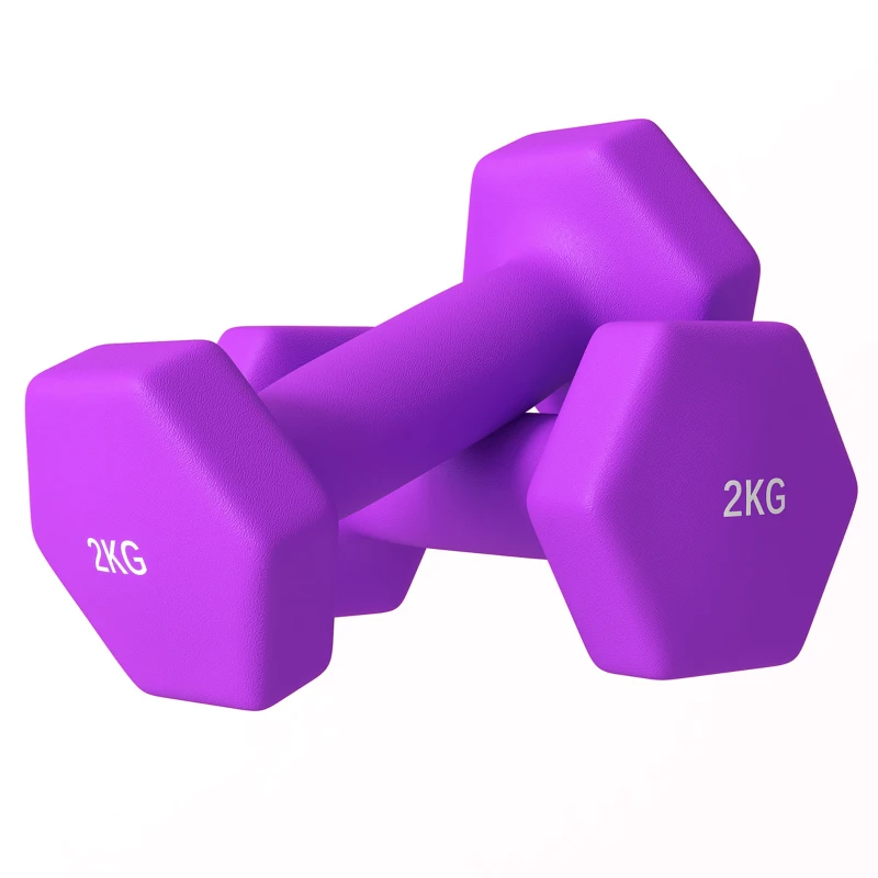 SPORTNOW Set de 2 Greutăți Hexagonale, Set de Gantere Pereche cu Prindere Antiderapantă pentru Antrenament de Fitness la Domiciliu, 16x7.5x7.5 cm, Violet