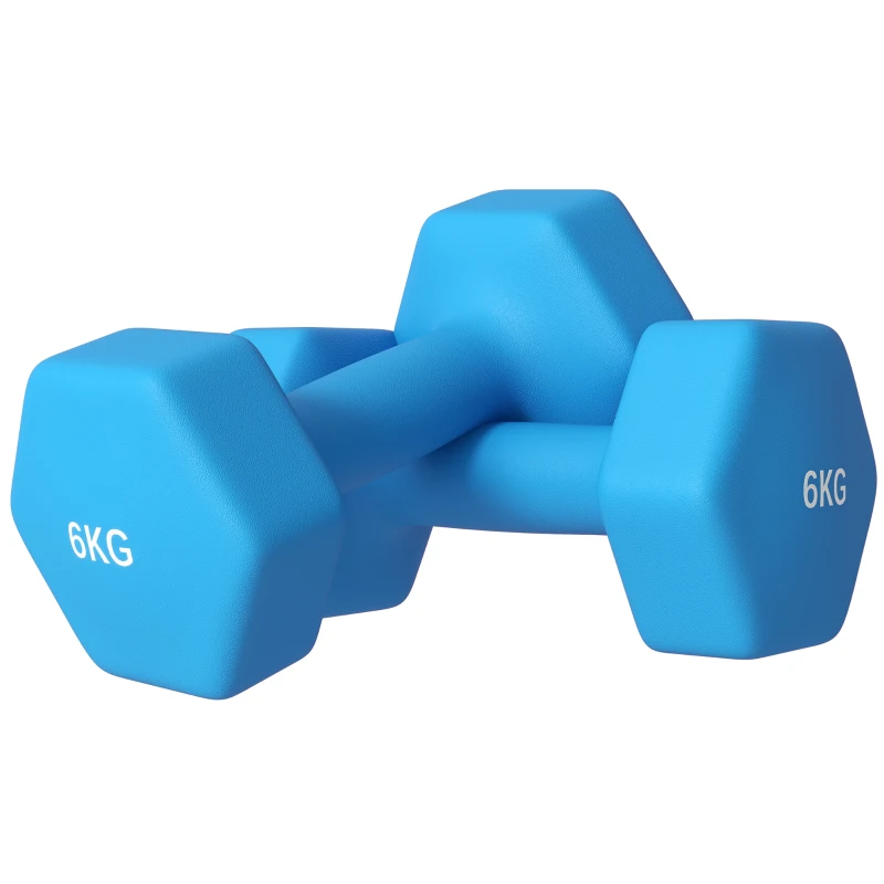 SPORTNOW Set de 2 Greutăți Hexagonale, Gantere Pereche cu Prindere Antiderapantă pentru Antrenament de Fitness, 2x6 kg, 22x10x10 cm, Albastru Deschis