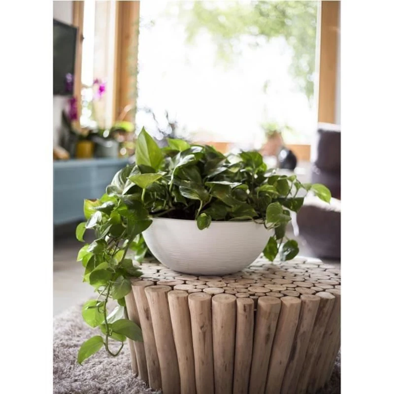 EDA Pot de fleur Rond GRAPHIT UP - 14,9 L - Ø 40 cm x H 16,5 cm - Blanc cérusé