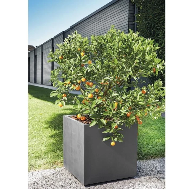 DEROMA Pot de fleurs Cube Millennium R - 49 x H49,5 cm - Anthracite - A réserve d'eau - Roulettes