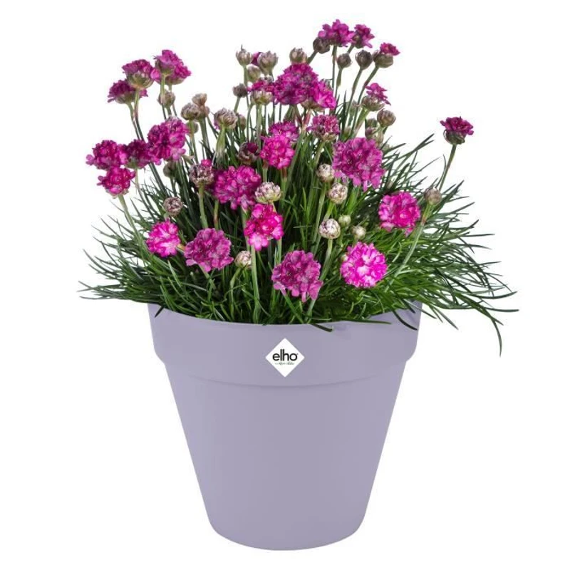 ELHO Pot de fleur Loft Urban Rond avec roues - Violet - Ø 48.5 x H 45 cm - Extérieur - 100% recyclé