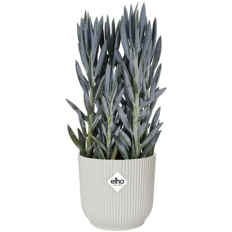ELHO Pot de fleurs rond Vibes - Ø 30 x H 27 cm - Intérieur - 100% recyclé - Blanc