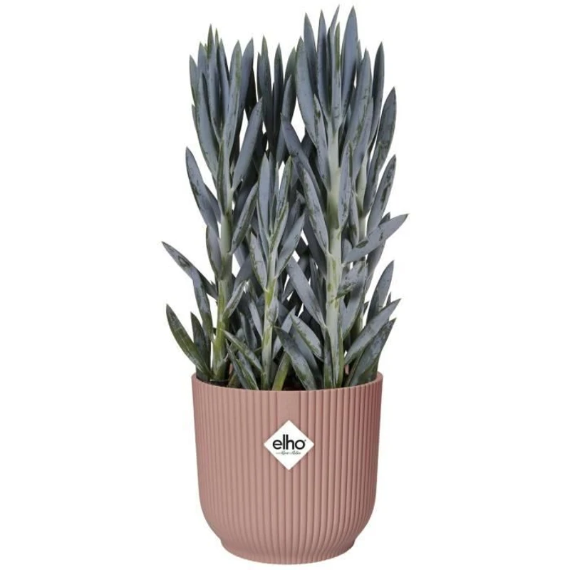 ELHO Pot de fleurs Rond VIBES - Ø25 x H23cm - Plastique - Rose poudré