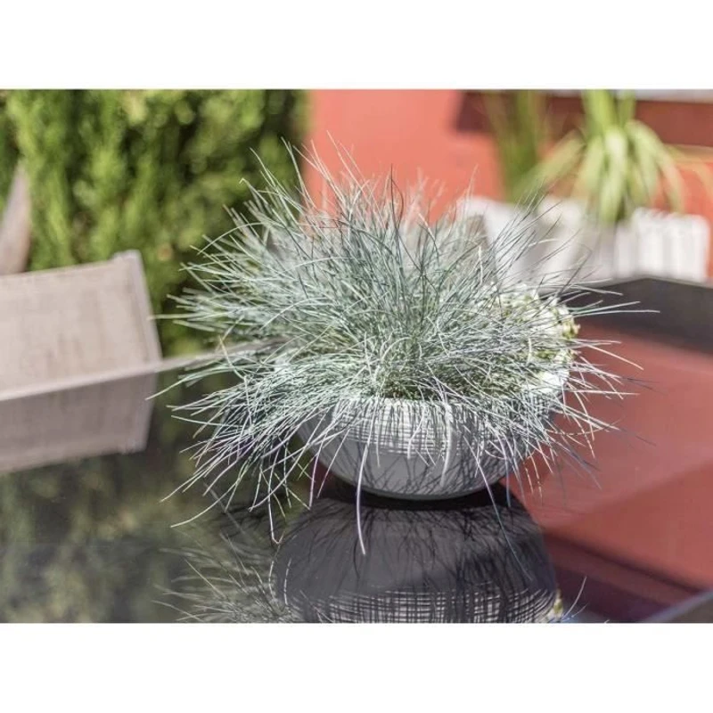 EDA Pot de fleurs vasque GRAPHIT UP - 5,5L  - Ø 30 cm x 12 cm - Blanc cérusé