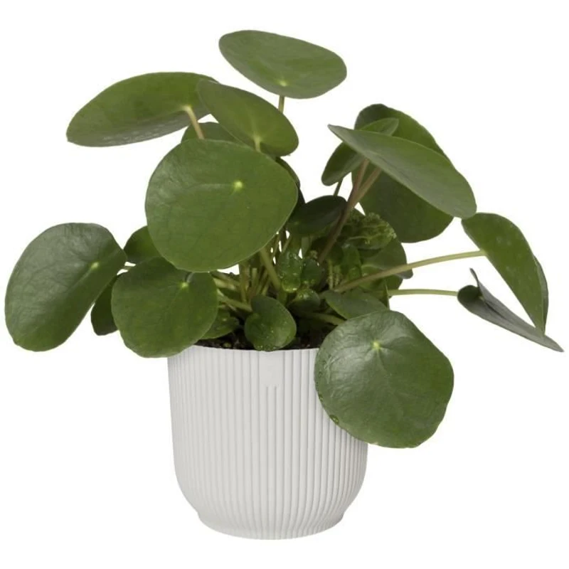 ELHO Pot de fleurs rond Vibes - Ø 30 x H 27 cm - Intérieur - 100% recyclé - Blanc