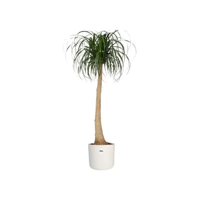 ELHO Pot de fleurs rond B.for Soft 35 - Ø 35 x H 32 cm - Intérieur - 100% recyclé - Blanc