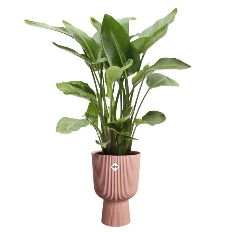 ELHO Pot de fleur Vibes Fold Coupe - Rose - Ø 29.5 x H 45 cm - Intérieur - 100% recyclé