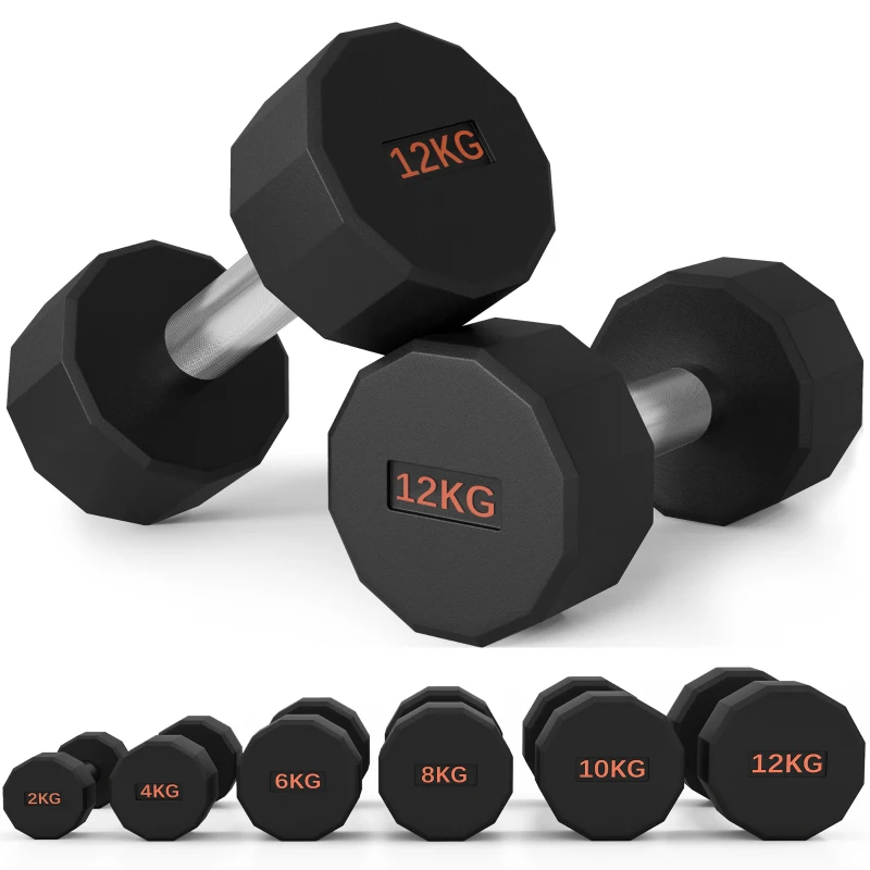 SPORTNOW Dumbbells Weights Set with 12-Sided Shape and Non-Slip Grip for Men Women Home Gym Workout, 2 x 12kg