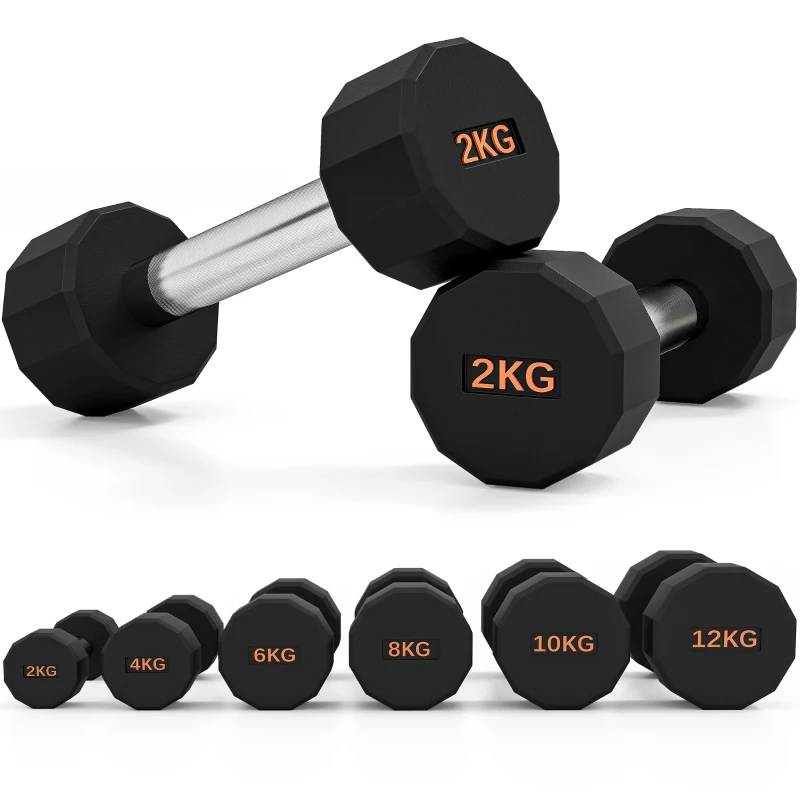 SPORTNOW Dumbbells Weights Set with 12-Sided Shape and Non-Slip Grip for Men Women Home Gym Workout, 2 x 2kg