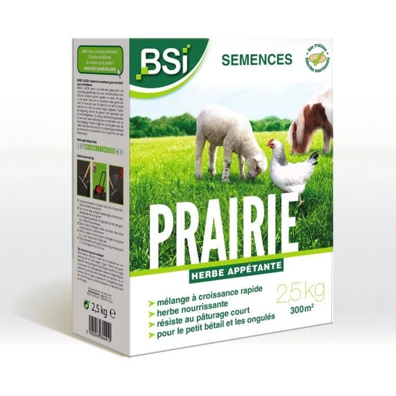 BSI - Semences De Gazon - Prairie - Tres Haute qualité - Grande Surface - Jusqu'a 300m² - 2,5Kg