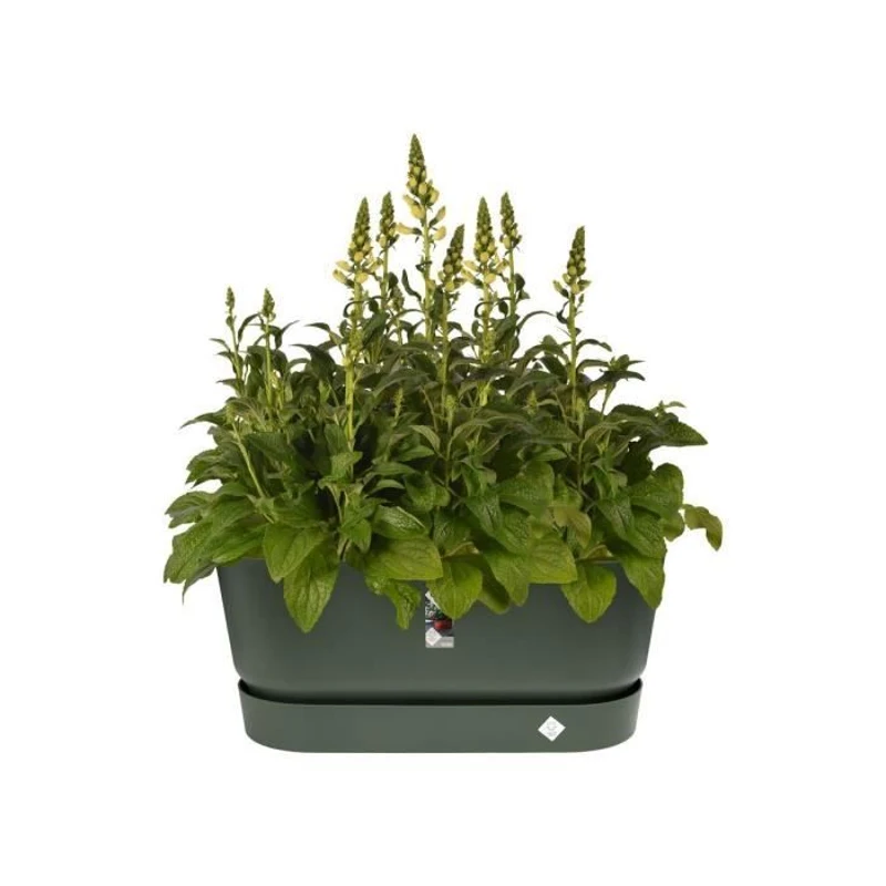 ELHO Jardiniere avec roues Greenville Terrasse 80 - L 35 x W 78 x H 33.5 cm- Leaf green