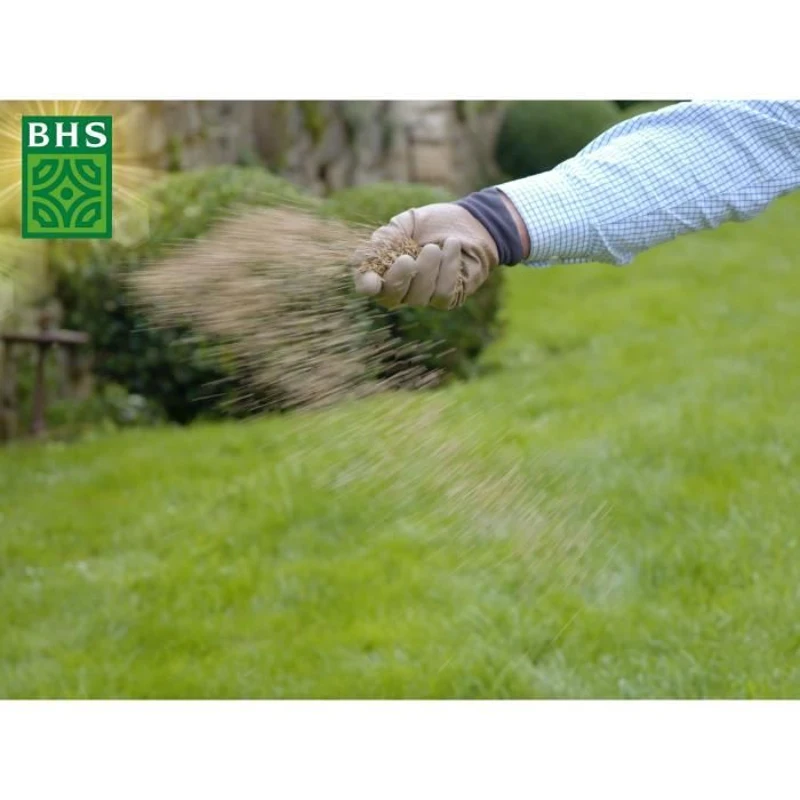 Gazon Regarnissage Terrain Sec - BHS - 1kg | 40 m² | Résistant et durable, avec excellente pérennité et tolérance aux piétinements.