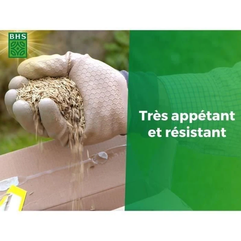 Gazon - BHS - Espace Nature 1kg | 40m² | Riche en protéines, rapide, homogene | Bien-etre des animaux en extérieur.