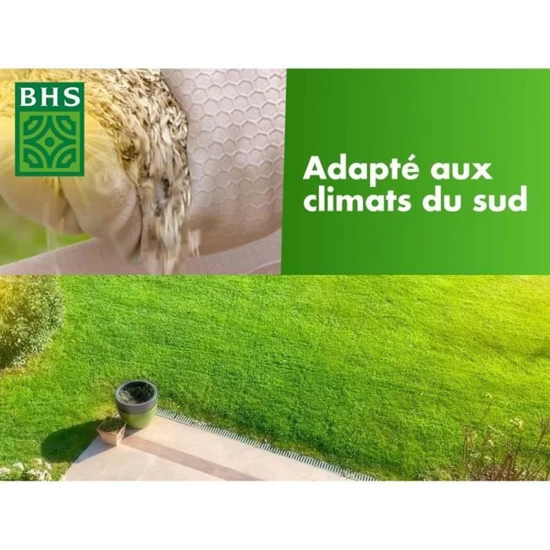 Gazon - BHS - Gazon Rustique Sud - 10kg - Résistant aux conditions seches grâce a la fétuque élevée. Rapide et homogene.