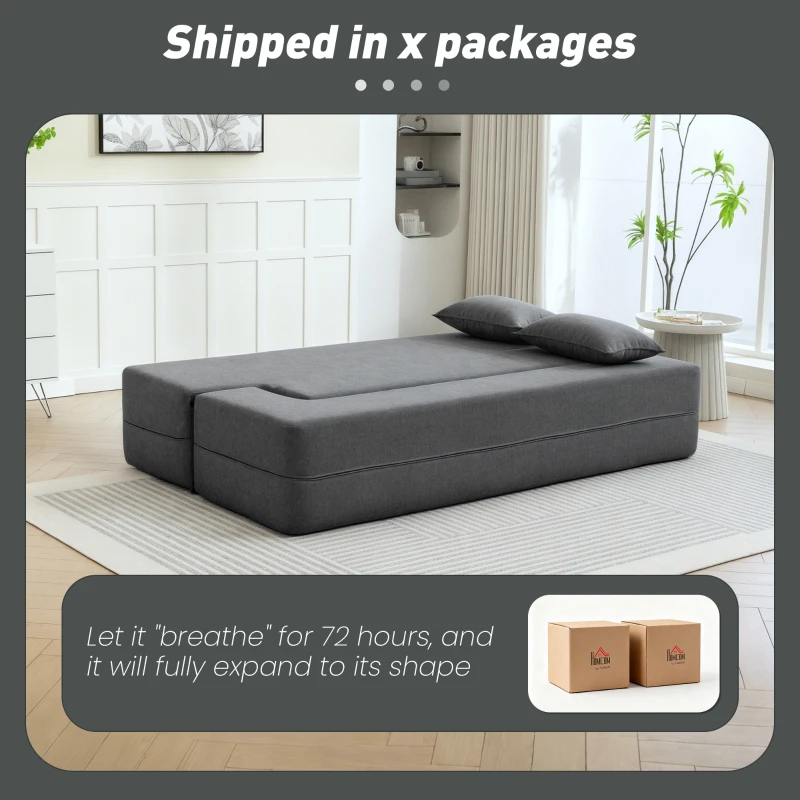 HOMCOM Sofá cama de 2 plazas de espuma, sofá cama con reposabrazos anchos, 2 cojines, capacidad 360 kg, Gris