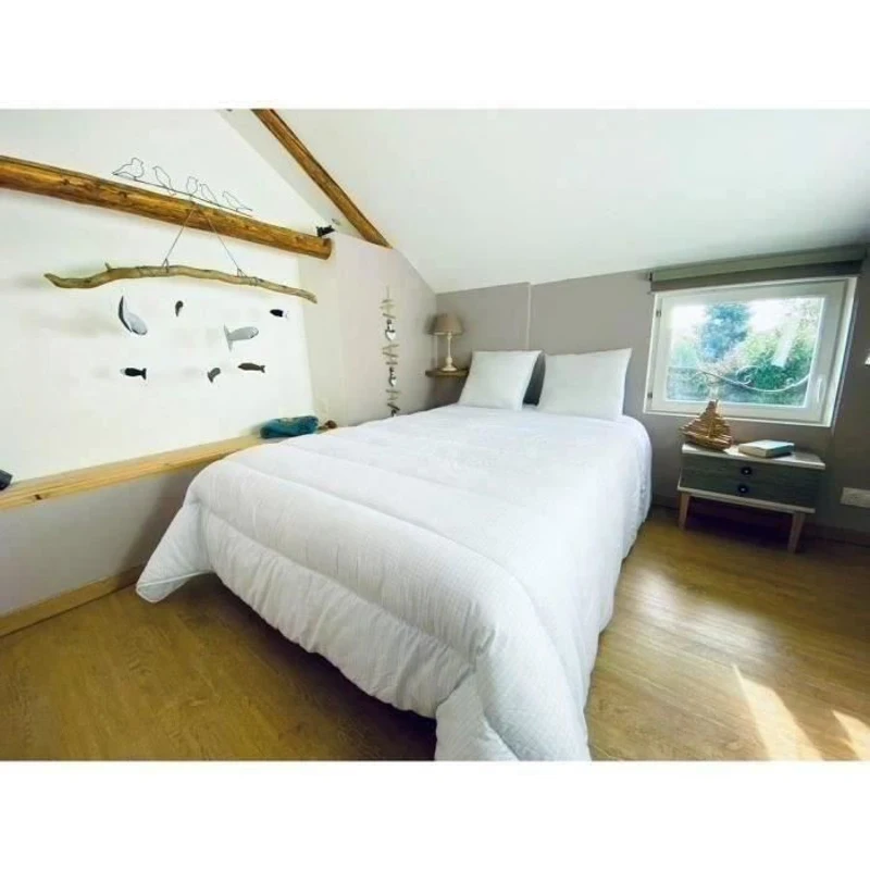 DODO Couette tempérée 300gr/m² 240x260 cm - Protection anti punaise, anti acarien - Blanc - Fabriqué en France