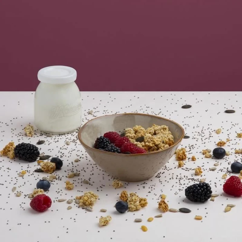 Yaourtiere HKoeNIG - ELY120 - Capacité 12 pots de 160ml - Programmable jusqu'a 15h - 15W