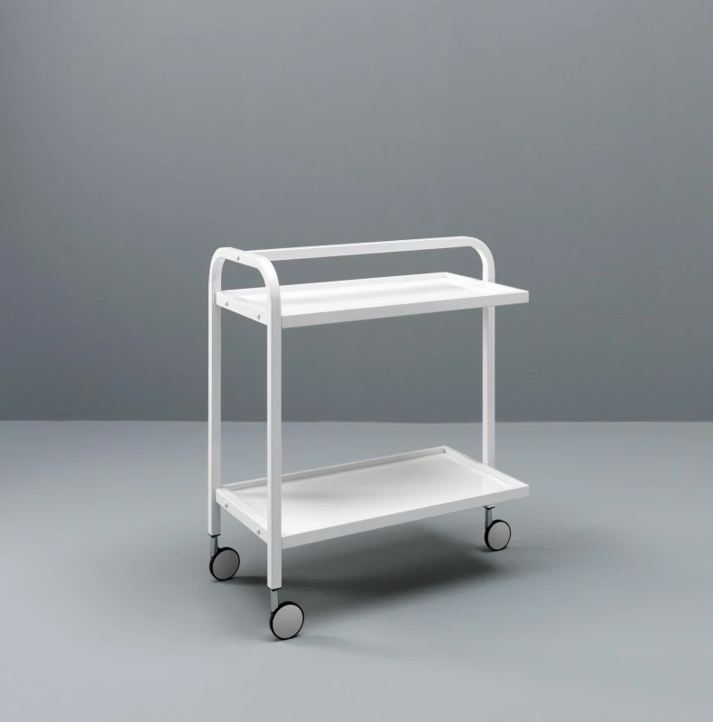 E-STYLO Carrello in metallo bianco a 2 ripiani con ruote girevoli, pratico e funzionale, ideale per riporre strumenti e accessori in modo ordinato, 40cm X 75cm H. 80cm