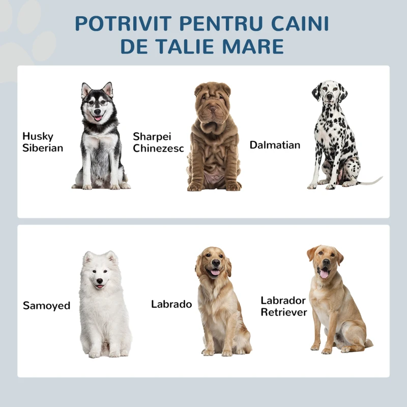 PawHut Boluri Înălțate pentru Câini din Oțel Inoxidabil și Lemn cu Sertar, 60x30x36 cm, Gri