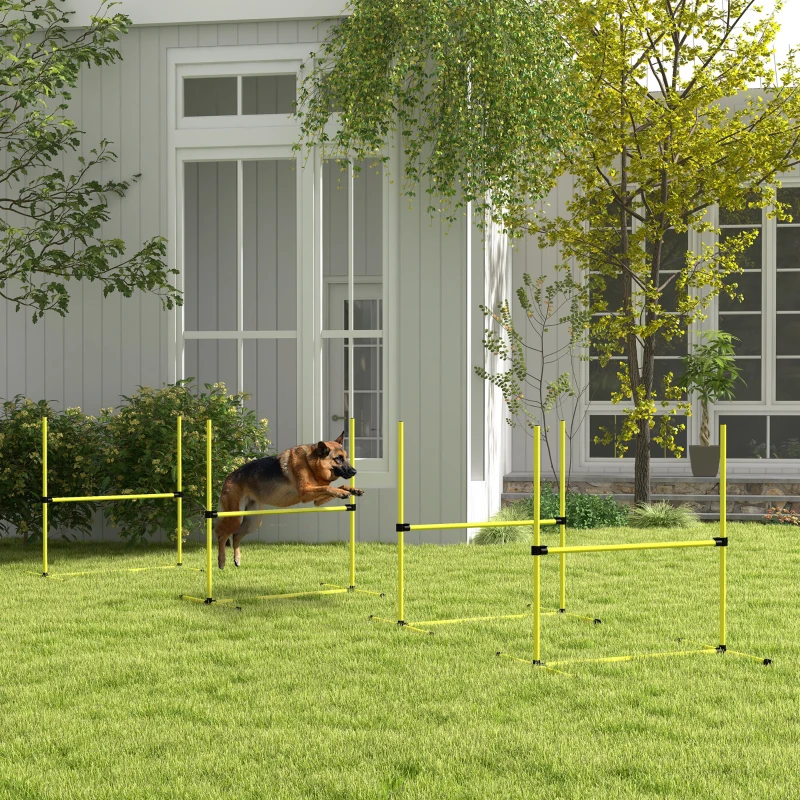 PawHut Agility sport pour chiens set de 4 obstacles professionnels avec système de maintien au sol sac transport fourni