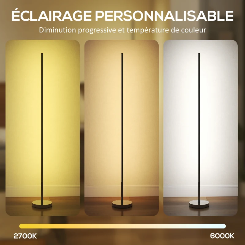 HOMCOM Lampadaire LED, lampadaire sur pied salon à intensité variable, télécommande, interrupteur à pied, Ø20x150cm, argent