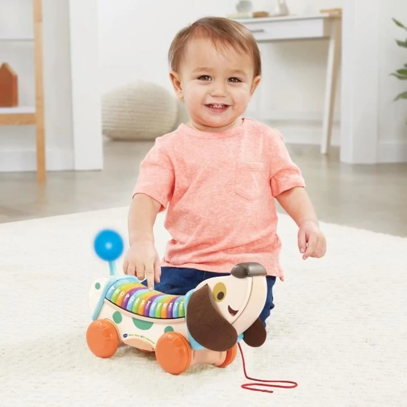 VTECH BABY - Play Green - Mon Chien ABC Interactif (Jouet Bois FSC)