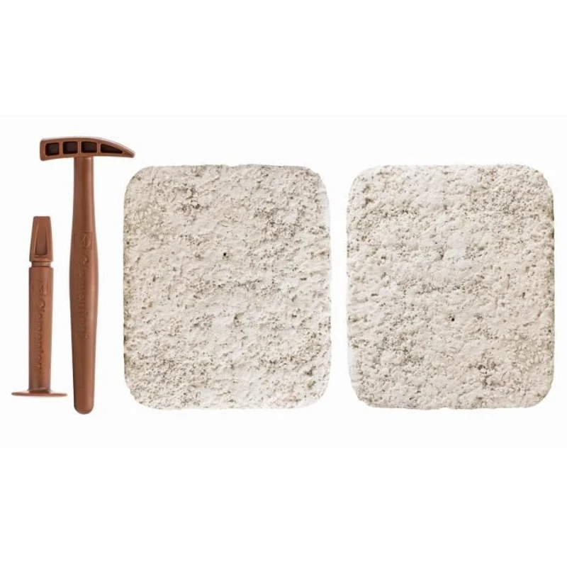 Clementoni - Science & Jeu - Archéo Ludic - T-Rex & Tricératops