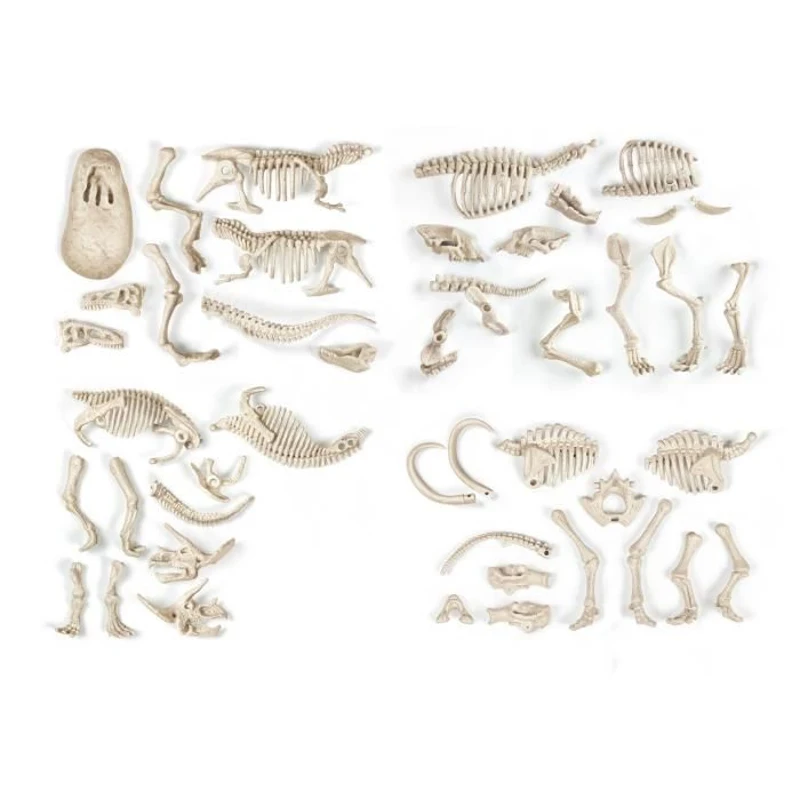 Clementoni - Science & Jeu - Archéo Ludic - Proies et Prédateurs