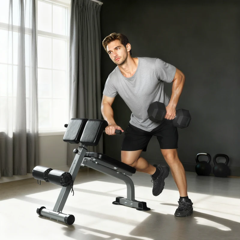 SPORTNOW Banco romano regulable y plegable multifunción, capacidad 150 kg, plateado