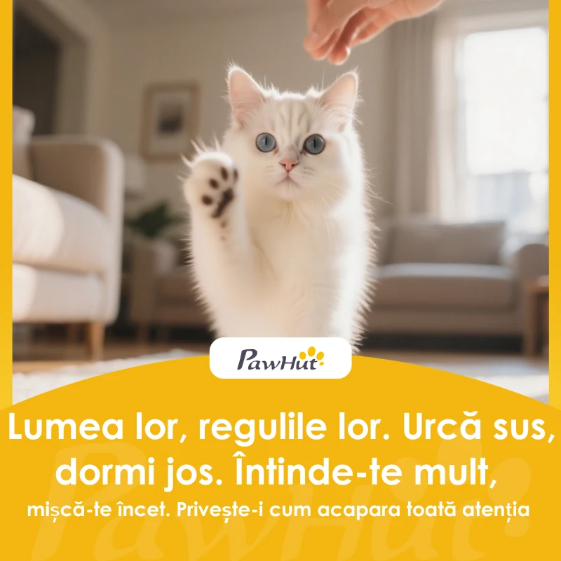 PawHut Ansamblu de Joaca pentru Pisici Înalt de 140 cm cu 2 Căsuțe, Hamac, Pat și Stâlpi din Sisal, Gri