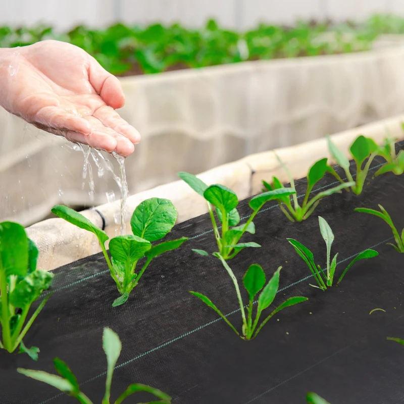 Outsunny Toile de paillage géotextile de paillage contre les mauvais herbes 100 x 2 m résistant aux déchirures polypropylène noir