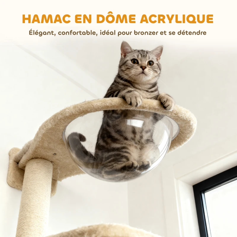 PawHut Étagères murales pour chat ensemble de meubles muraux 6 pièces hamac à bulles en acrylique niche hamac échelle beige