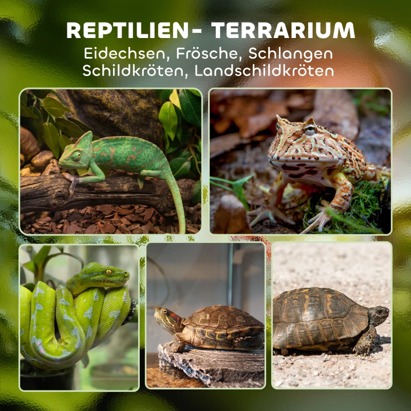 PawHut Glazen terrarium voor reptielen, verhoogde & waterdichte bodem, knopsluiting